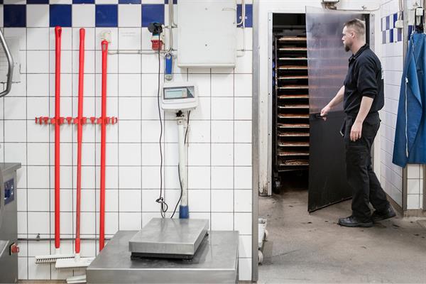 Toolflex One Aluminiumschiene 54 cm mit 3 Haltern Ø 15-35 mm in rot